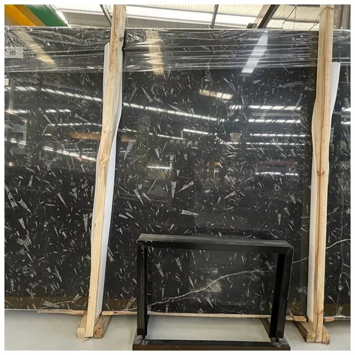 Nero Fossil Marble Slabs