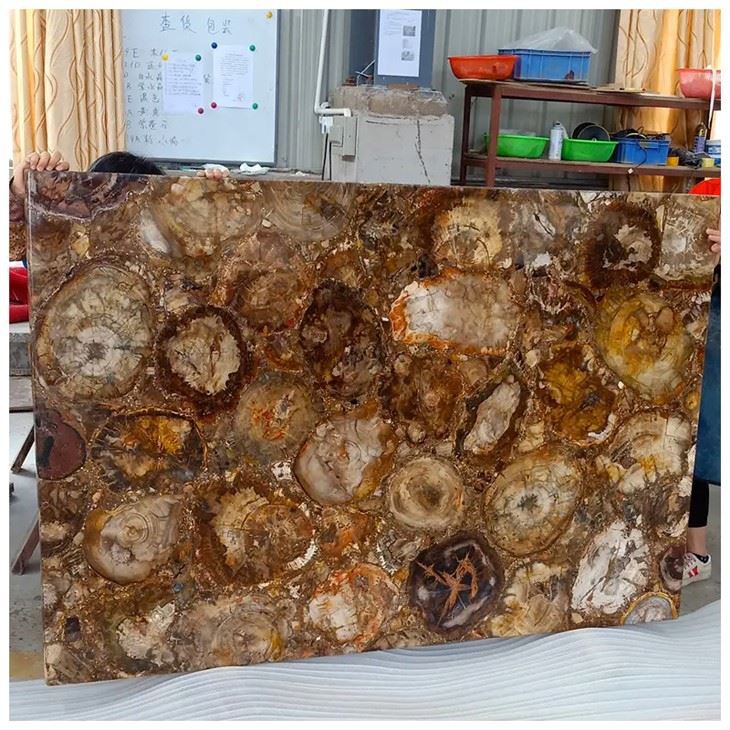 Losa de madera petrificada